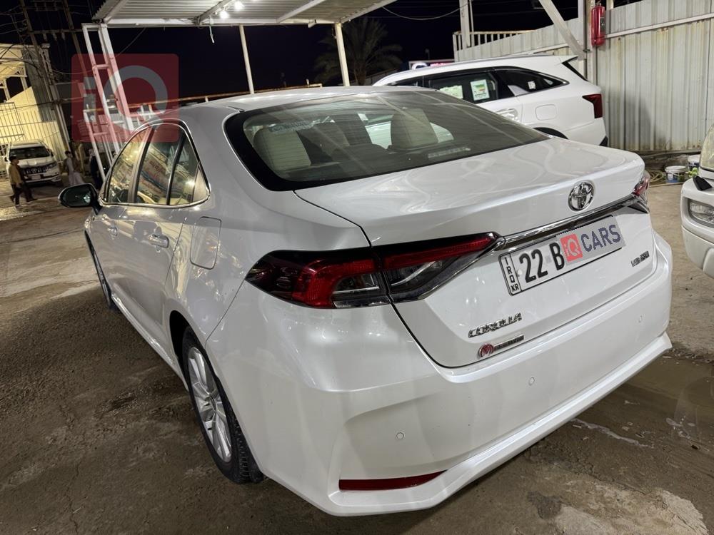 تويوتا كورولا